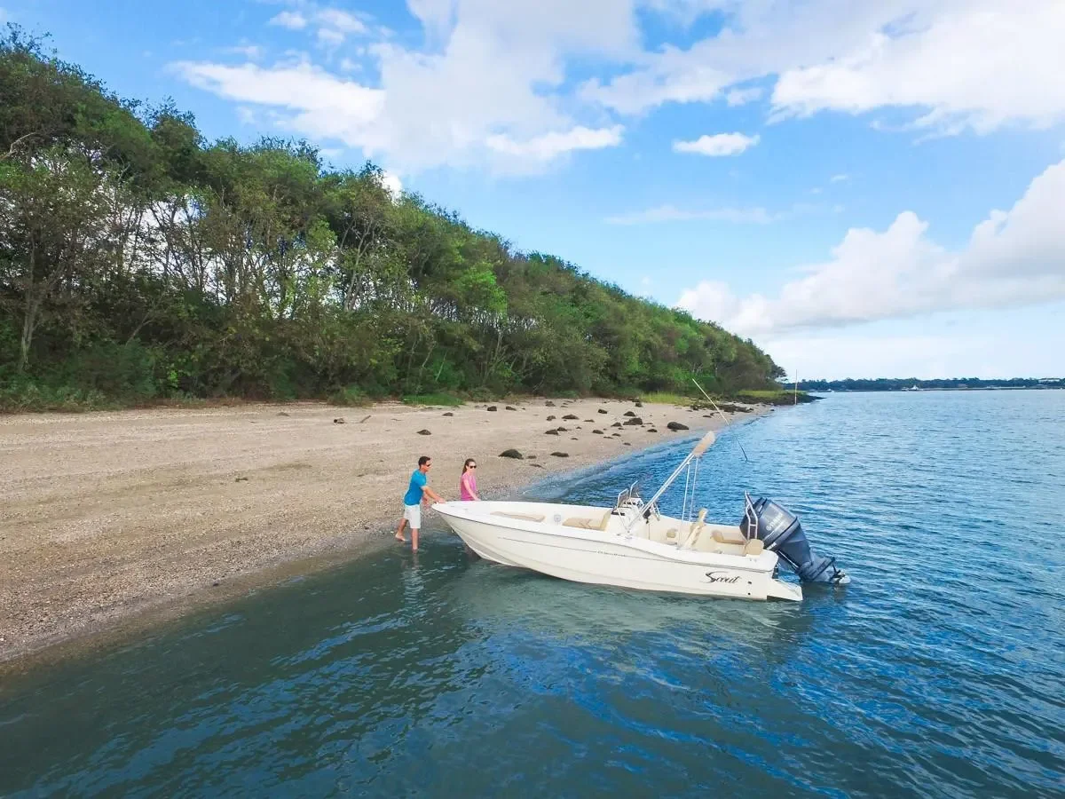 2026 Scout 175 Sport Dorado Image Thumbnail #5