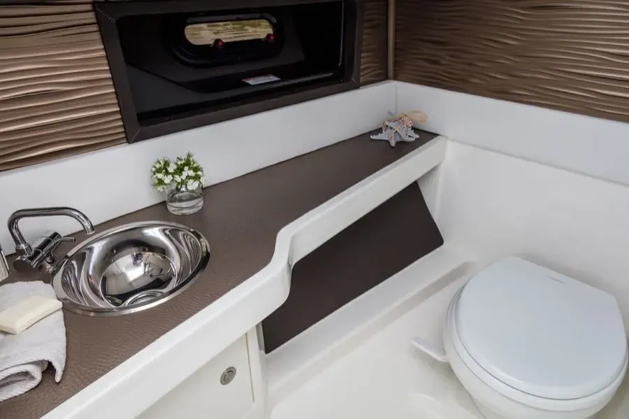 2026 Sea Ray SLX 310 Image Thumbnail #10