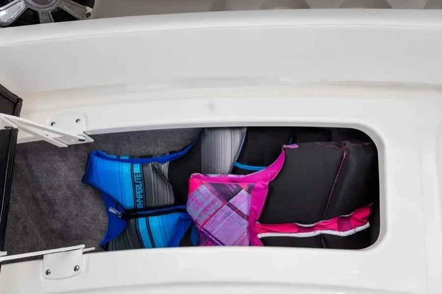 2025 Sea Ray 310 SLX Image Thumbnail #13