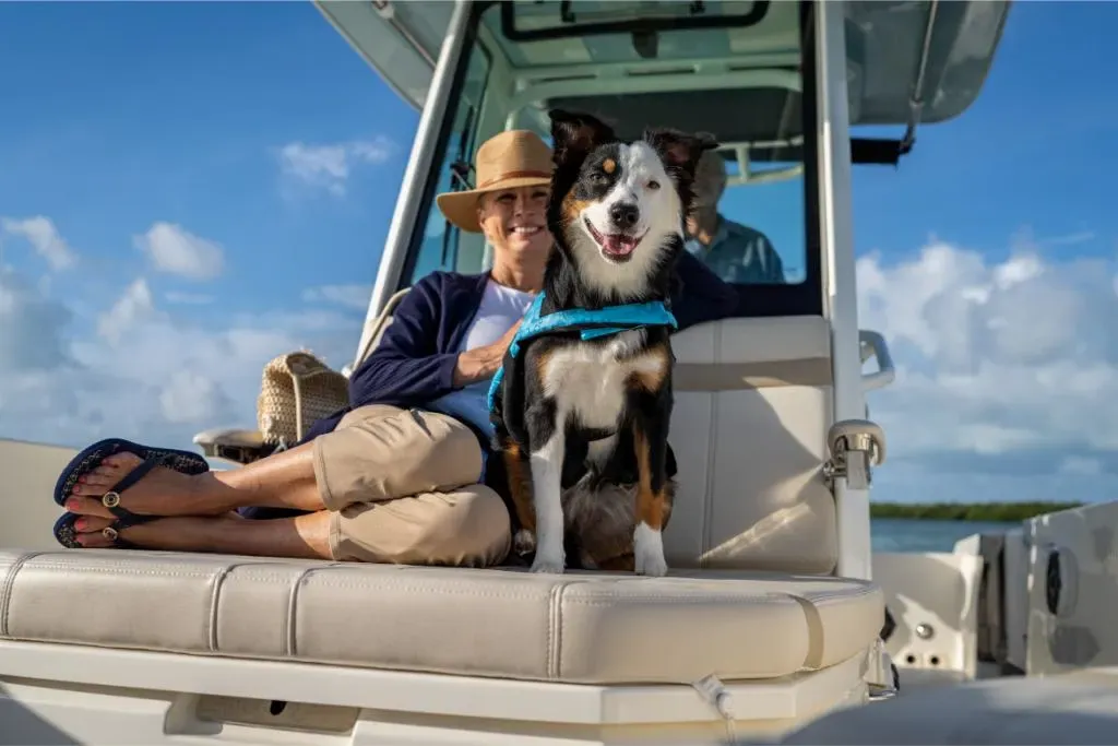 2025 Boston Whaler 280 Dauntless Image Thumbnail #67