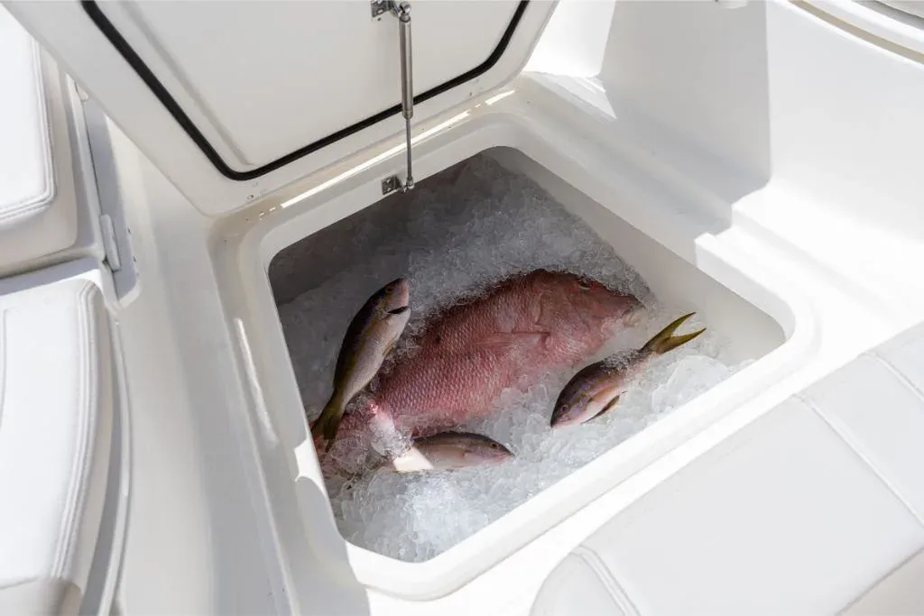 2025 Boston Whaler 280 Dauntless Image Thumbnail #70
