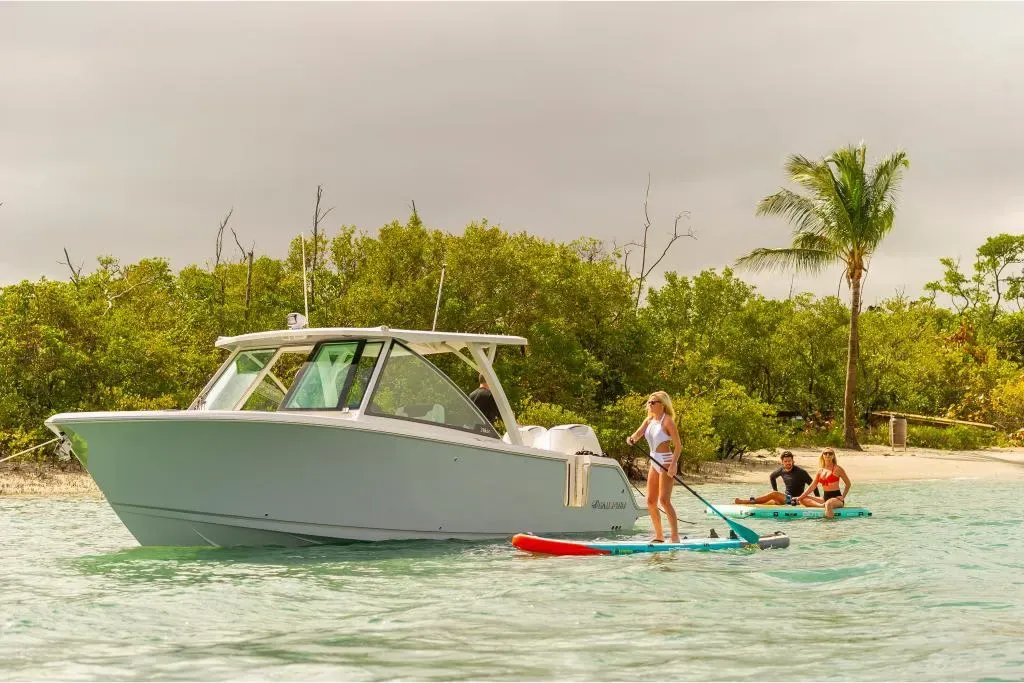 2025 Sailfish 316 DC Image Thumbnail #27