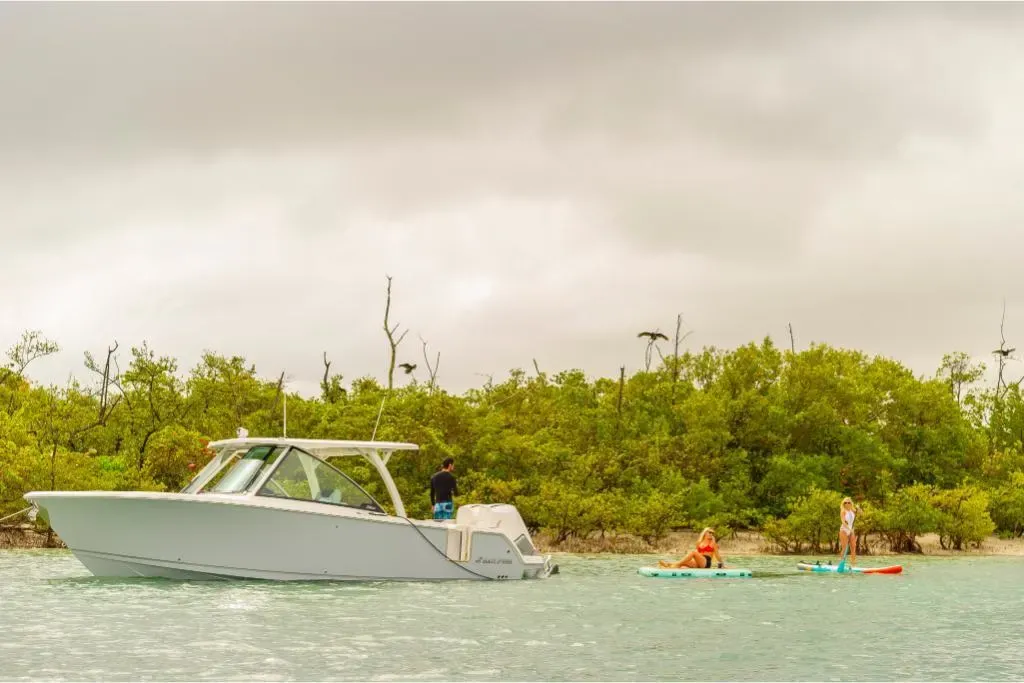 2025 Sailfish 316 DC Image Thumbnail #31