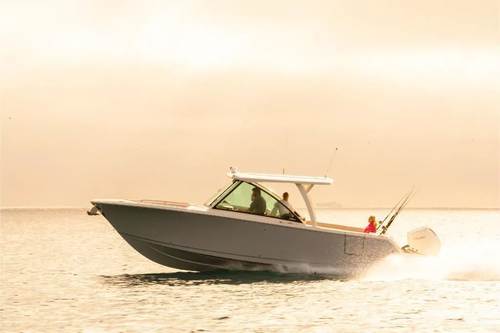 2025 Sailfish 316 DC Image Thumbnail #39