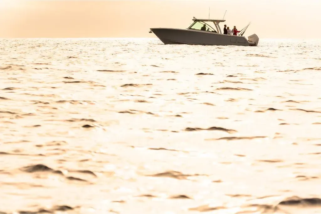 2025 Sailfish 316 DC Image Thumbnail #42