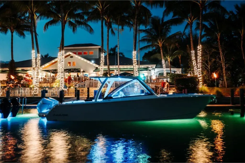 2025 Sailfish 316 DC Image Thumbnail #62