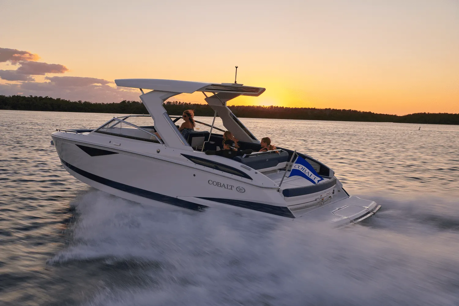 2025 Cobalt A29 Image Thumbnail #10
