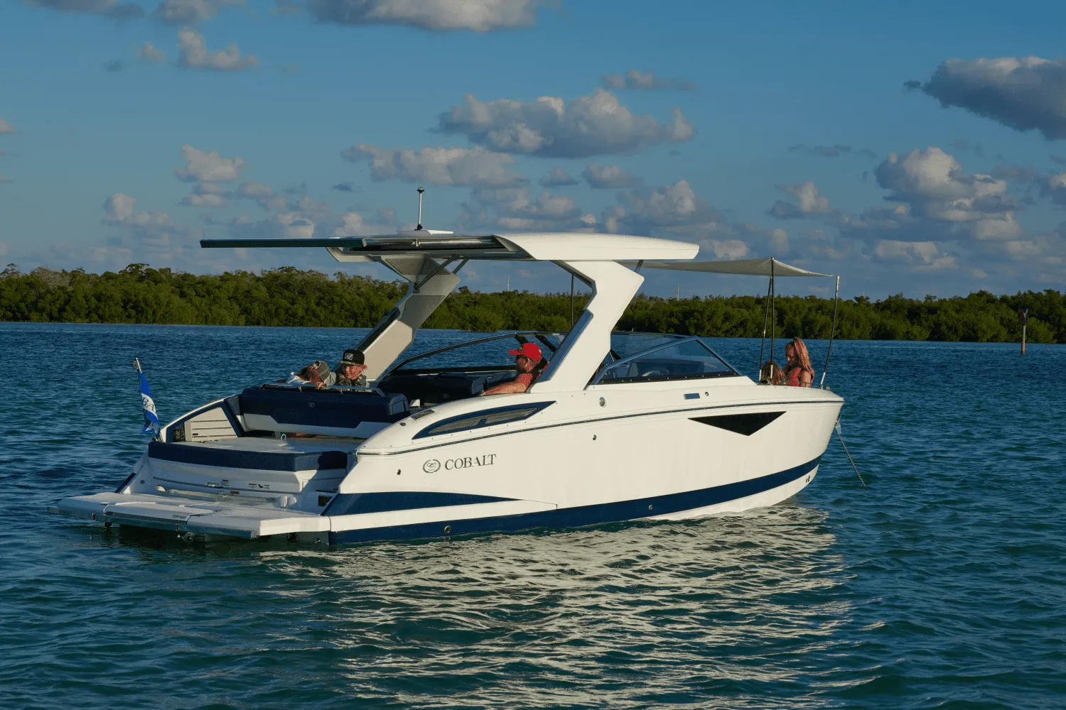 2025 Cobalt A29 Image Thumbnail #2