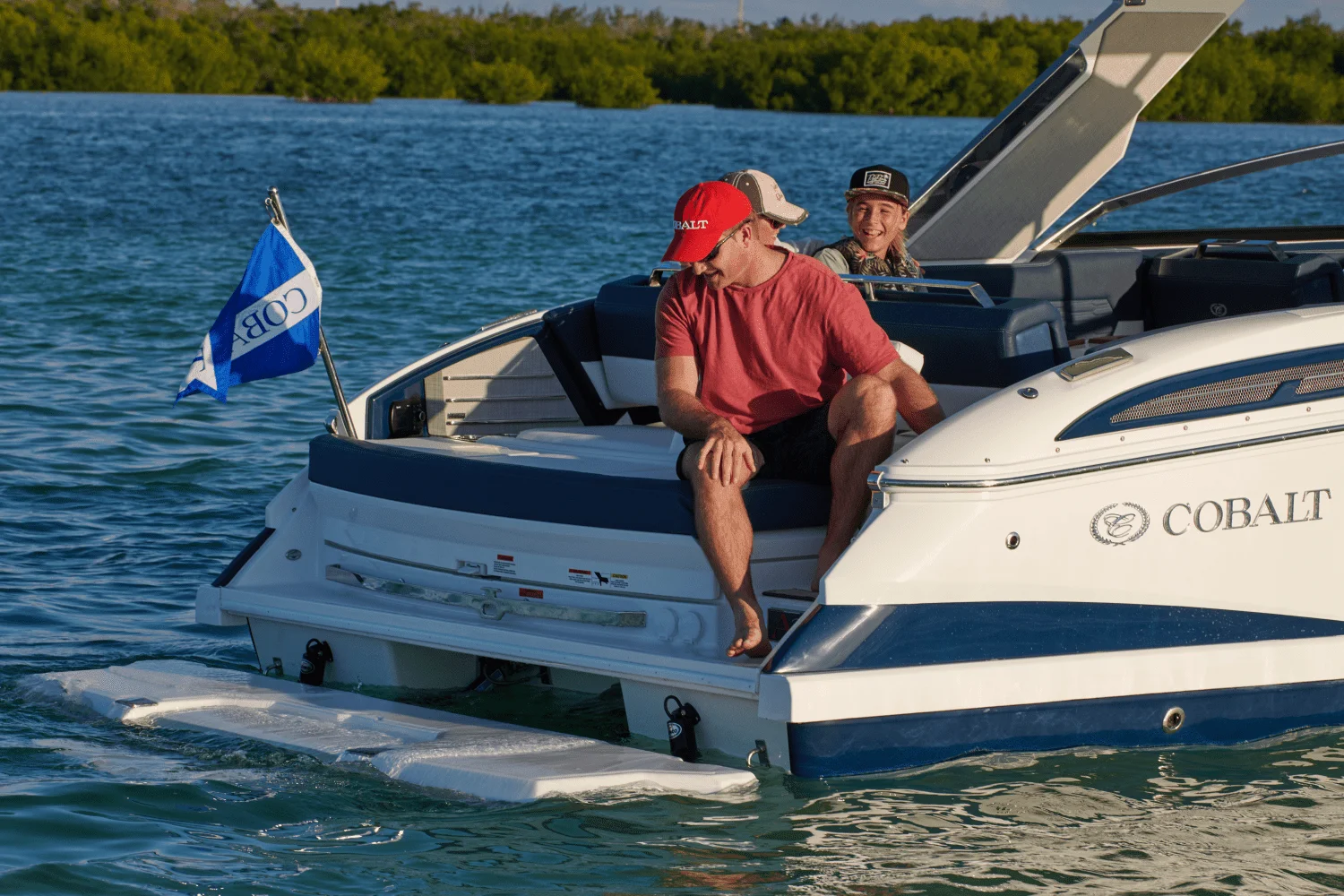 2026 Cobalt A29 Image Thumbnail #2