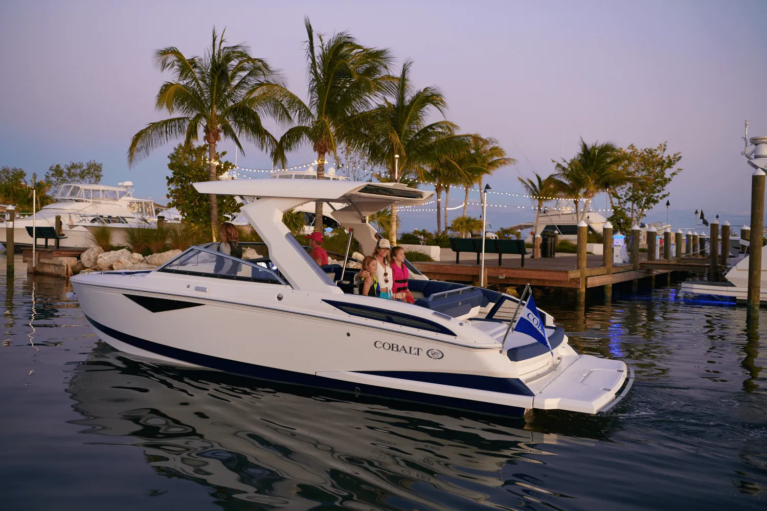 2025 Cobalt A29 Image Thumbnail #13