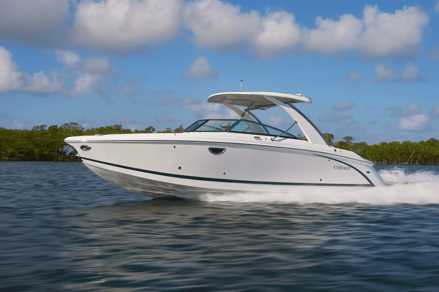 2026 Cobalt R31 Image Thumbnail #6