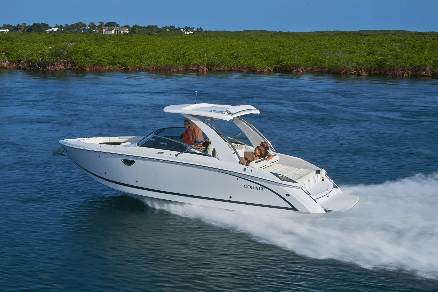 2026 Cobalt R31 Image Thumbnail #2