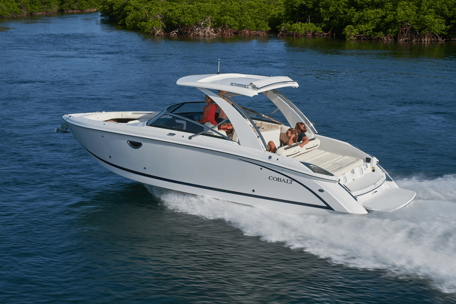 2026 Cobalt R31 Image Thumbnail #15