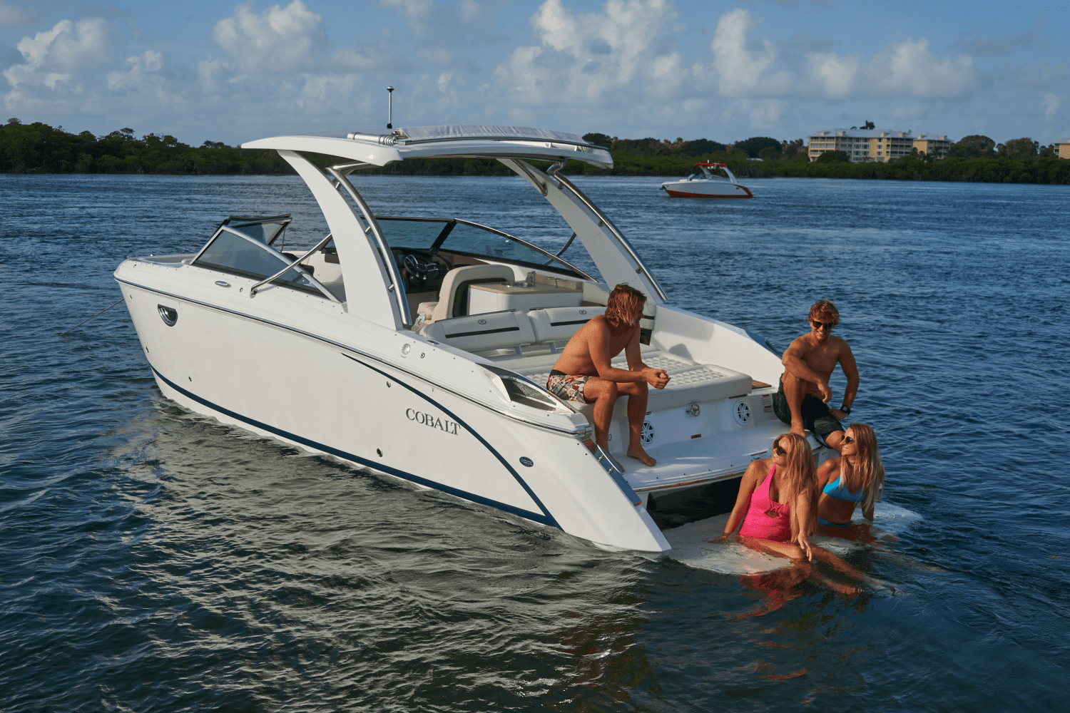 2026 Cobalt R31 Image Thumbnail #9