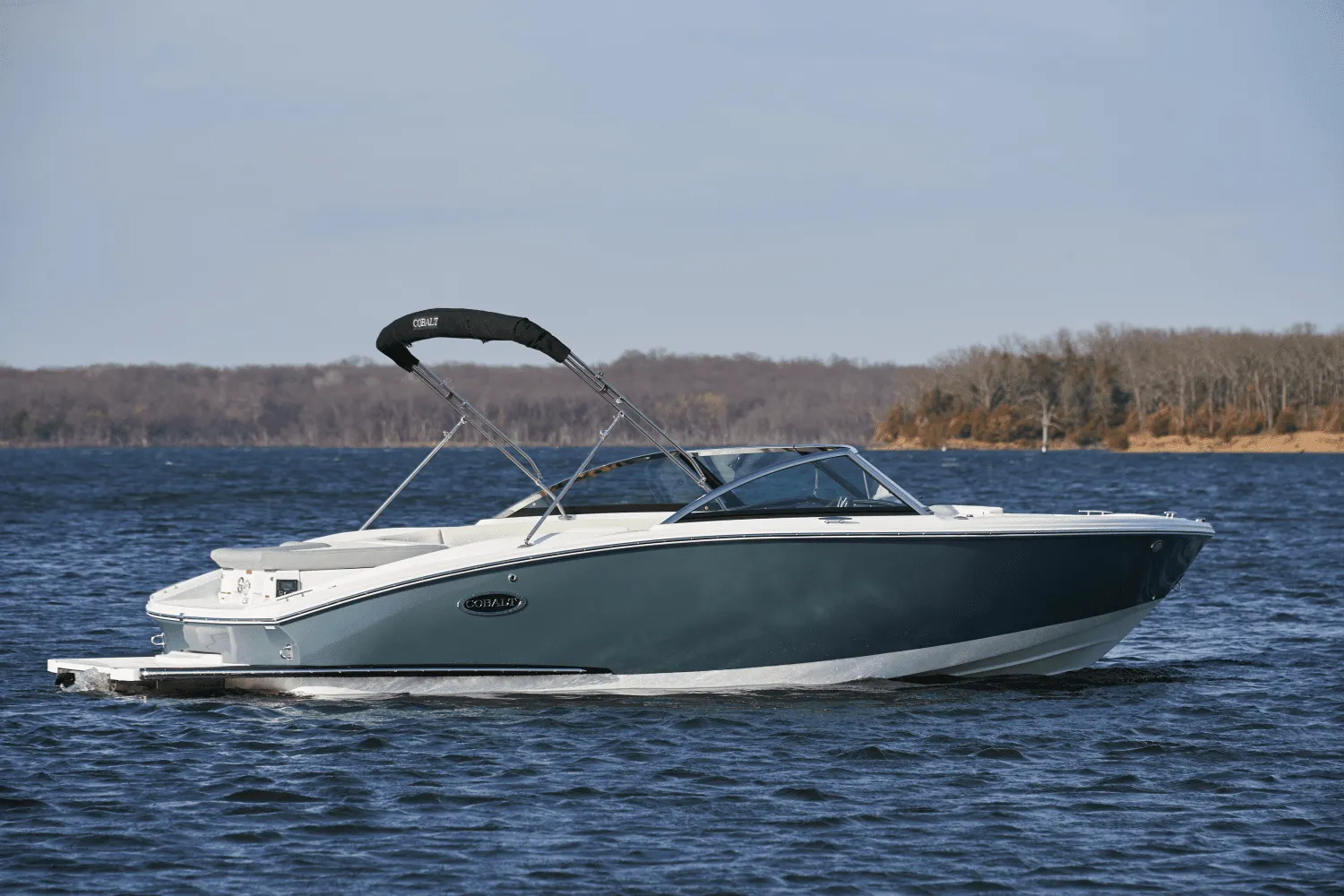 2025 Cobalt CS22 Image Thumbnail #4