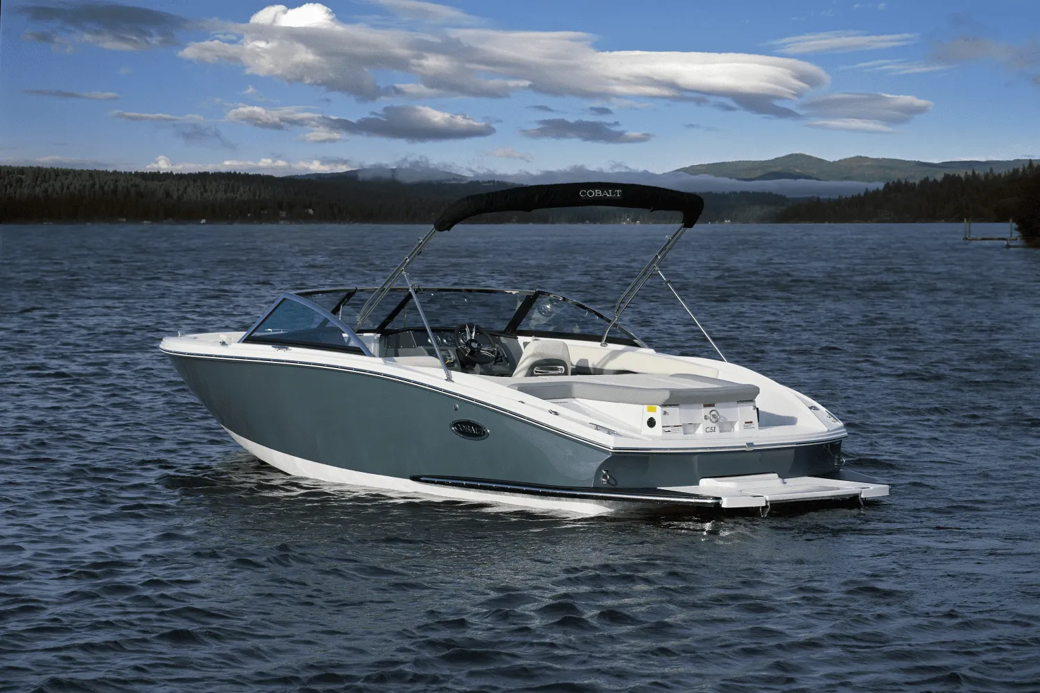 2025 Cobalt CS22 Image Thumbnail #2