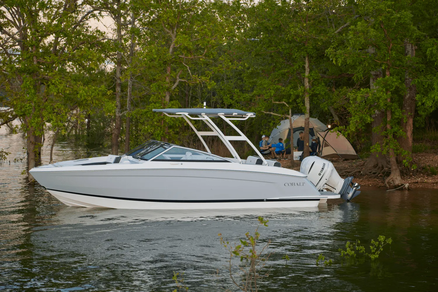 2025 Cobalt R6 Outboard Image Thumbnail #16