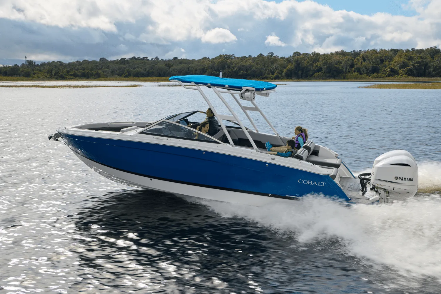 2025 Cobalt R8 Outboard Image Thumbnail #34