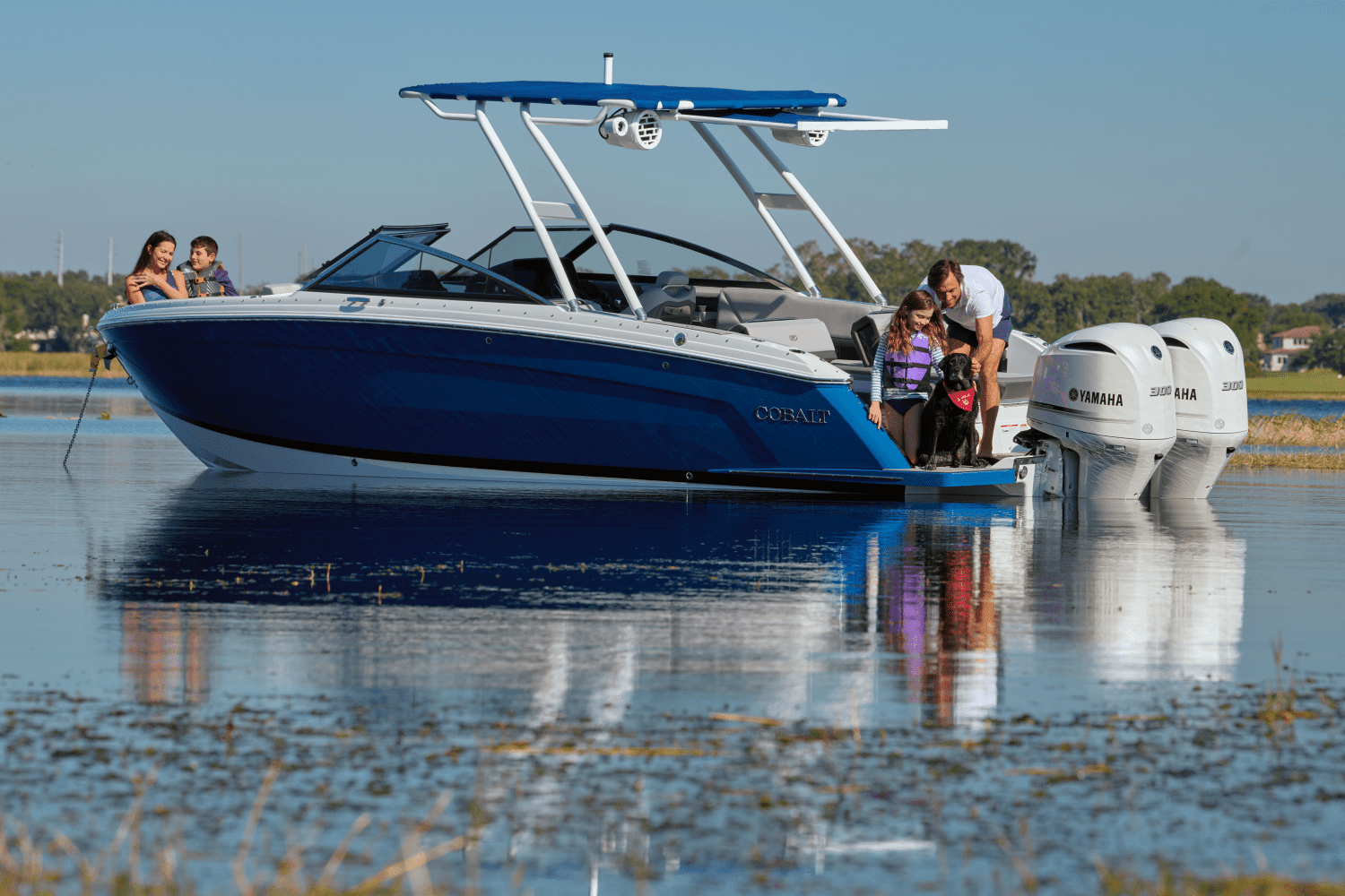 2024 Cobalt R8 Outboard Image Thumbnail #46