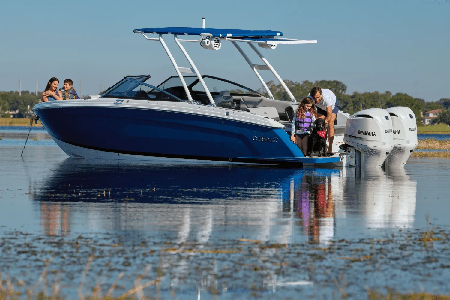2025 Cobalt R8 Outboard Image Thumbnail #46