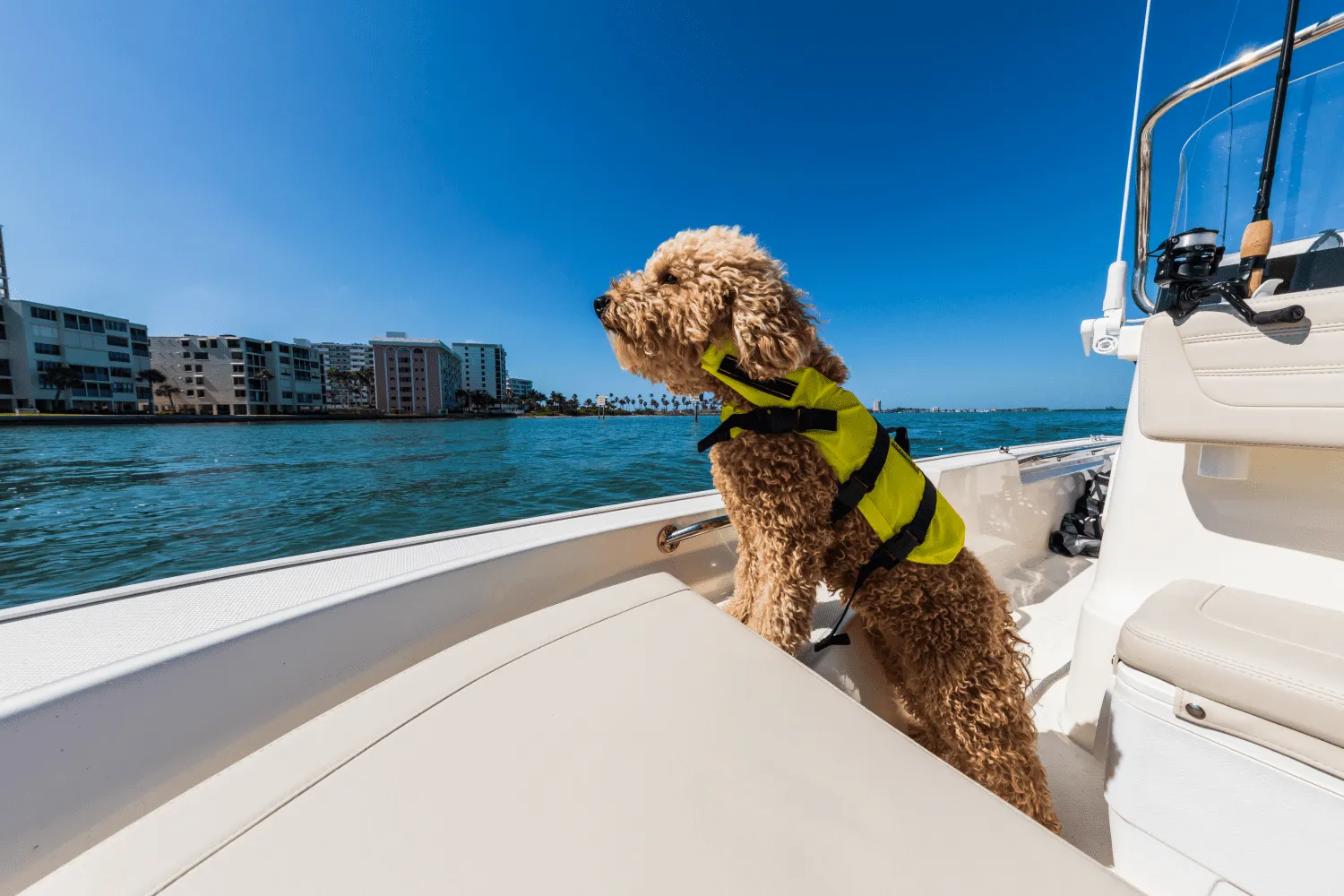 2026 Boston Whaler 150 Montauk Image Thumbnail #15