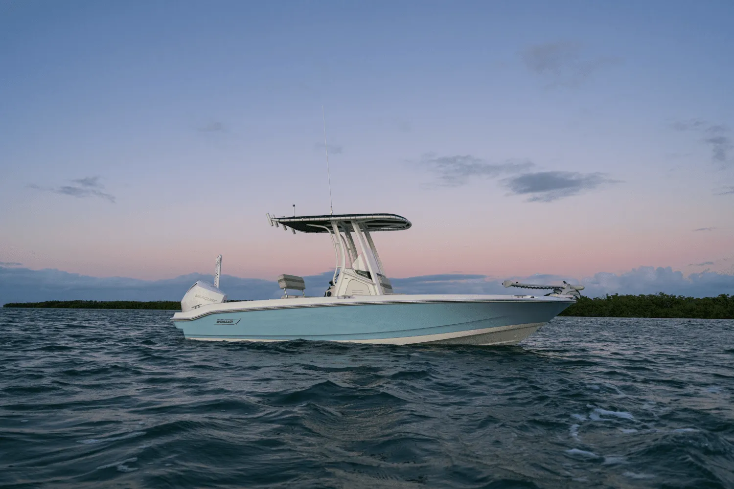 2025 Boston Whaler 220 Dauntless Image Thumbnail #21