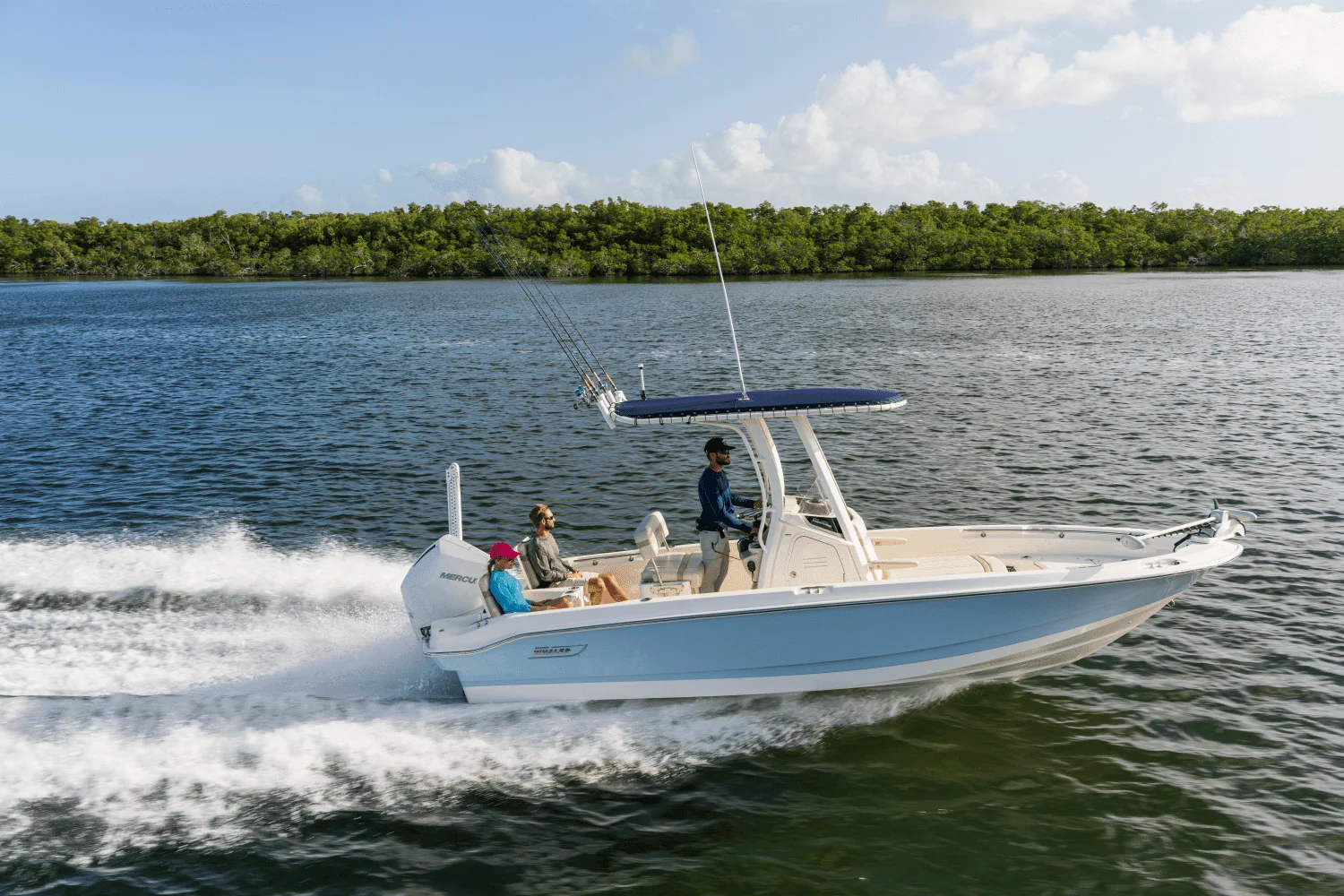 2026 Boston Whaler 220 Dauntless Image Thumbnail #7