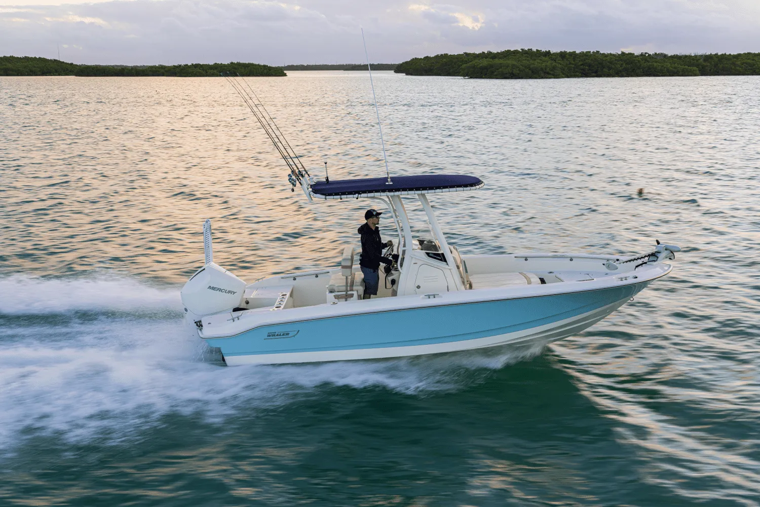 2025 Boston Whaler 220 Dauntless Image Thumbnail #25