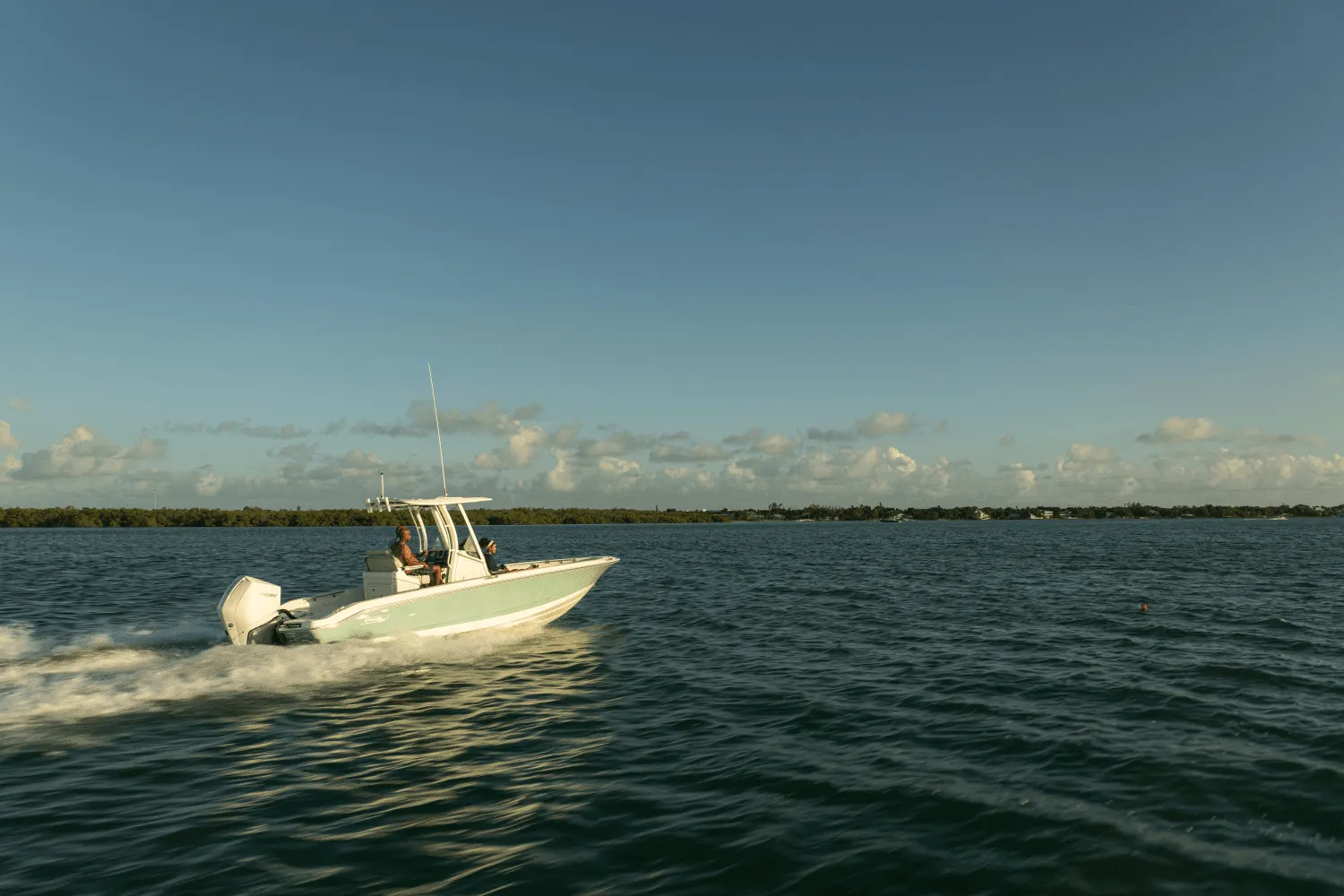 2025 Boston Whaler 250 Dauntless Image Thumbnail #85