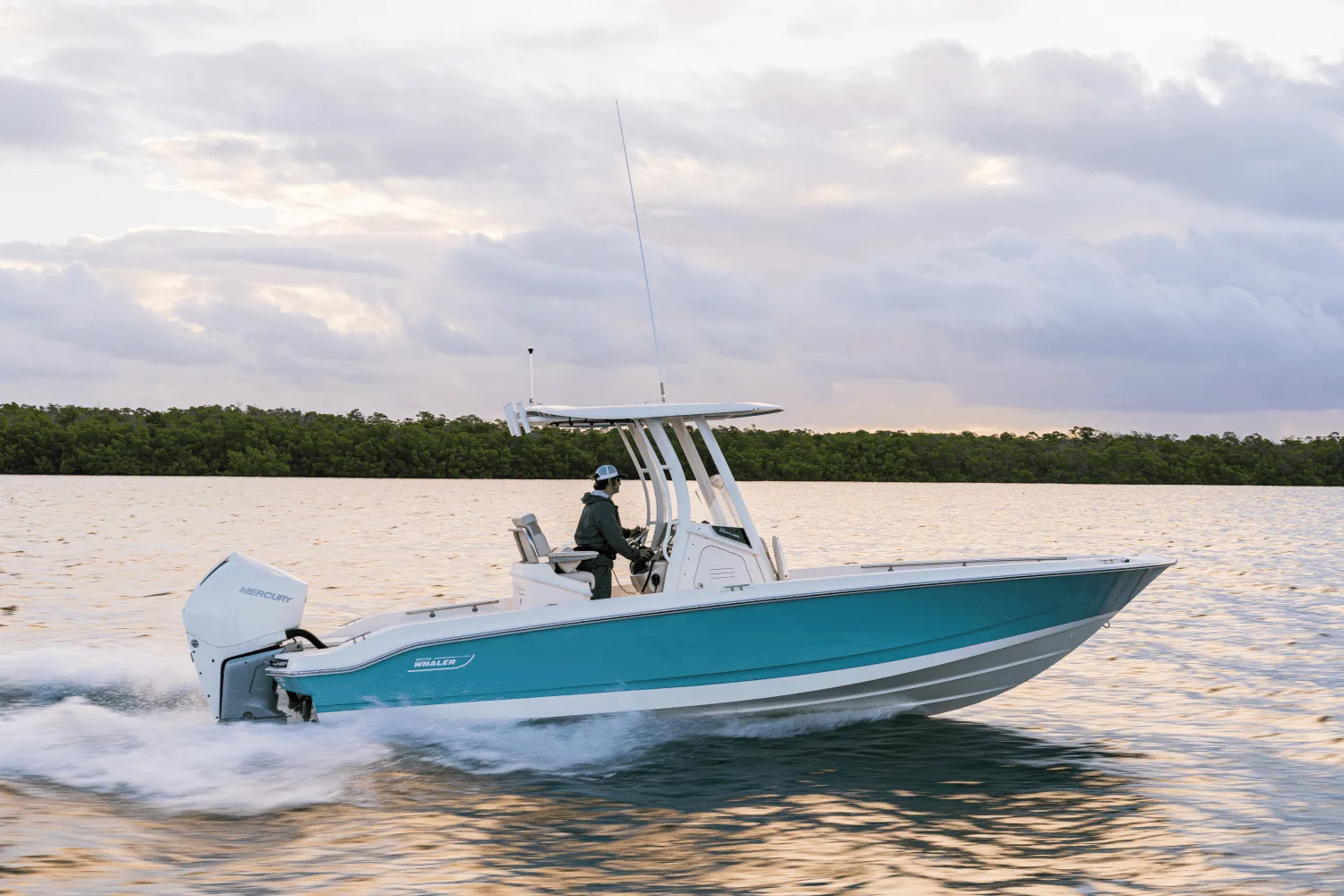 2025 Boston Whaler 250 Dauntless Image Thumbnail #83
