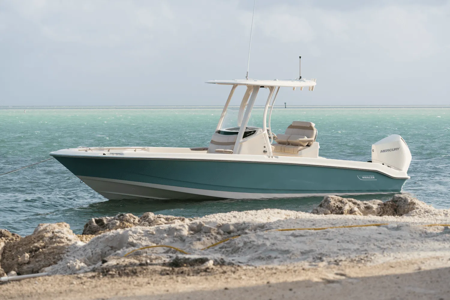 2025 Boston Whaler 250 Dauntless Image Thumbnail #67