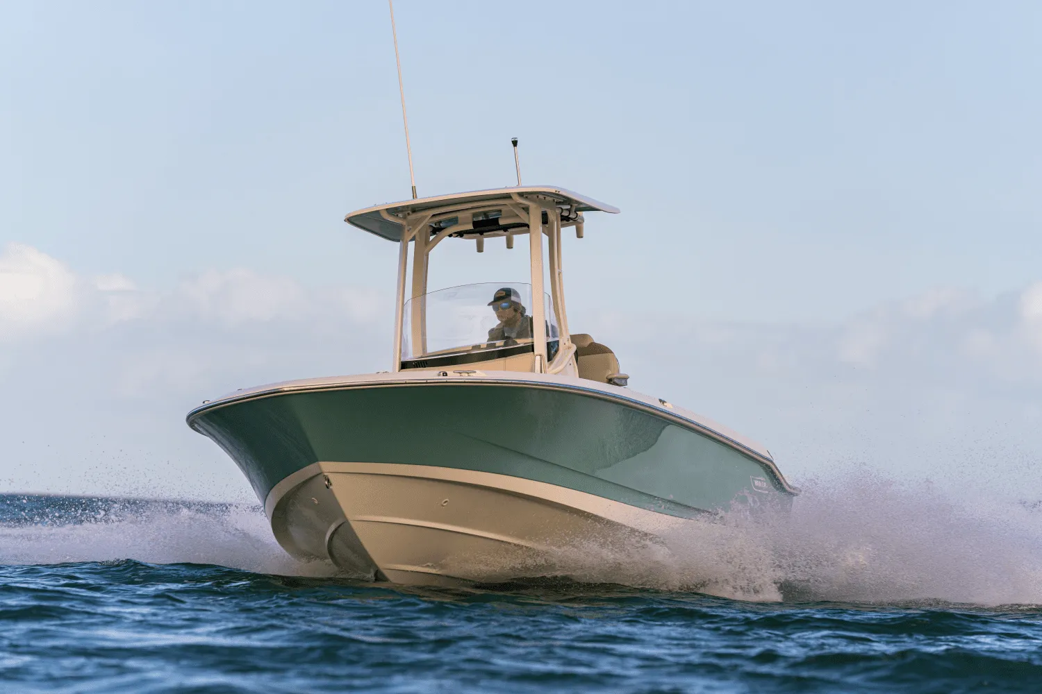 2025 Boston Whaler 250 Dauntless Image Thumbnail #71