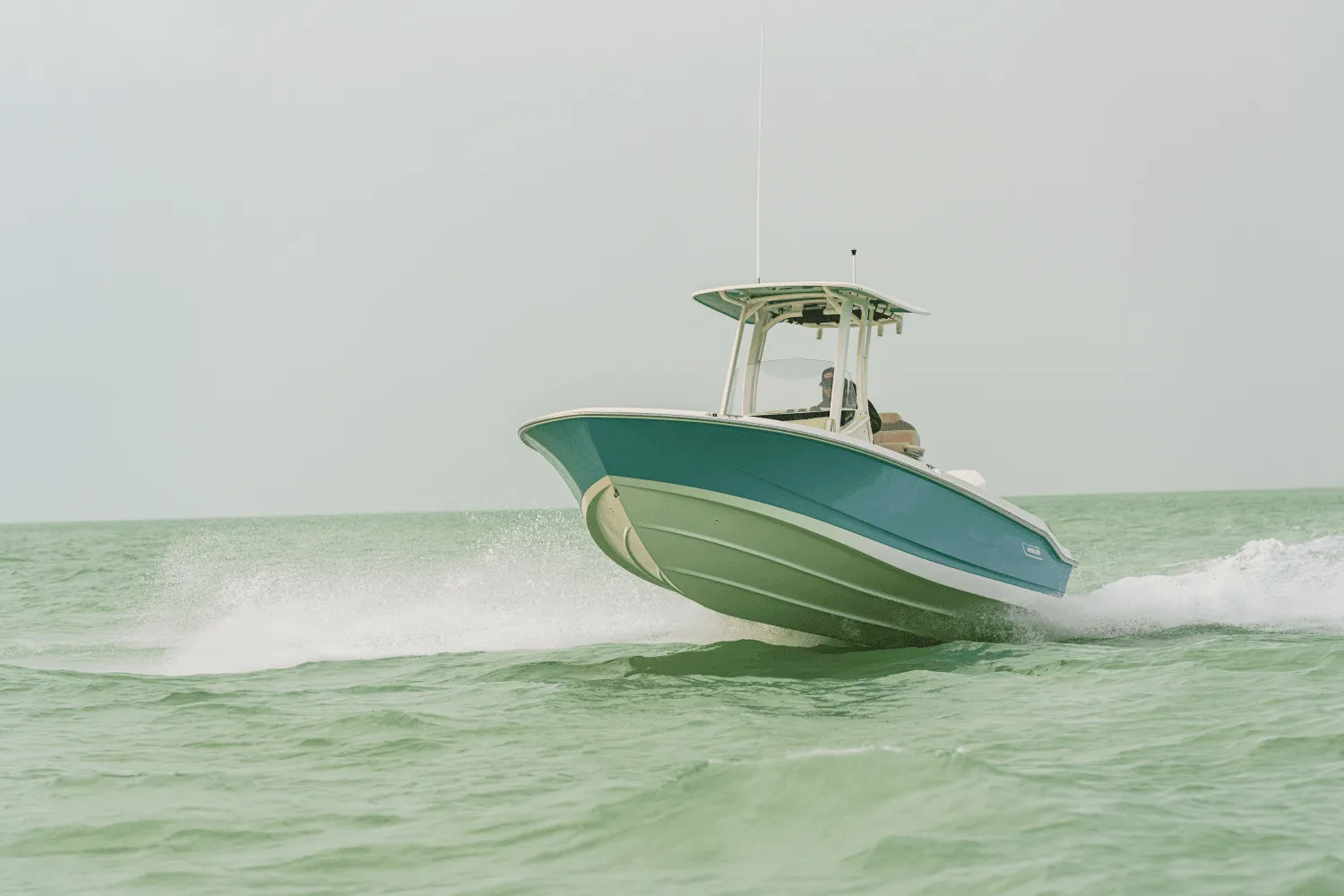 2025 Boston Whaler 250 Dauntless Image Thumbnail #72