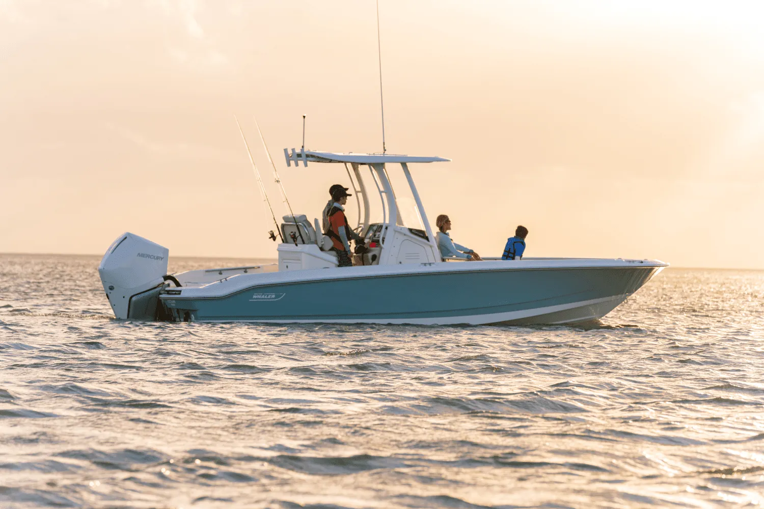 2025 Boston Whaler 250 Dauntless Image Thumbnail #53