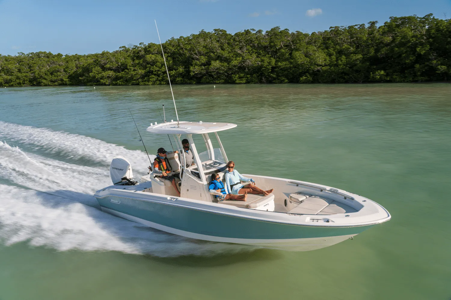 2025 Boston Whaler 250 Dauntless Image Thumbnail #64