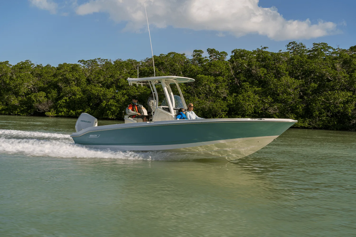 2025 Boston Whaler 250 Dauntless Image Thumbnail #58