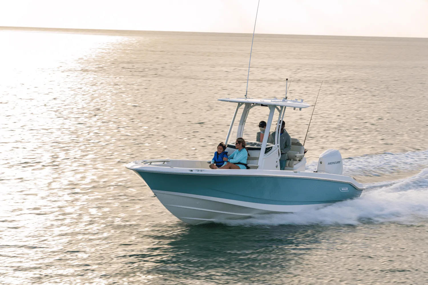 2025 Boston Whaler 250 Dauntless Image Thumbnail #60