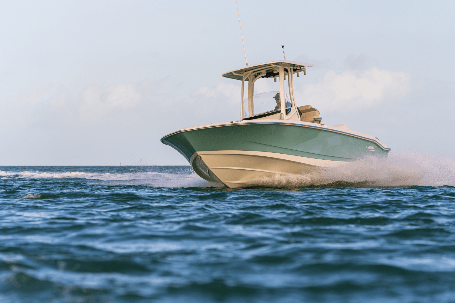 2026 Boston Whaler 250 Dauntless Image Thumbnail #18