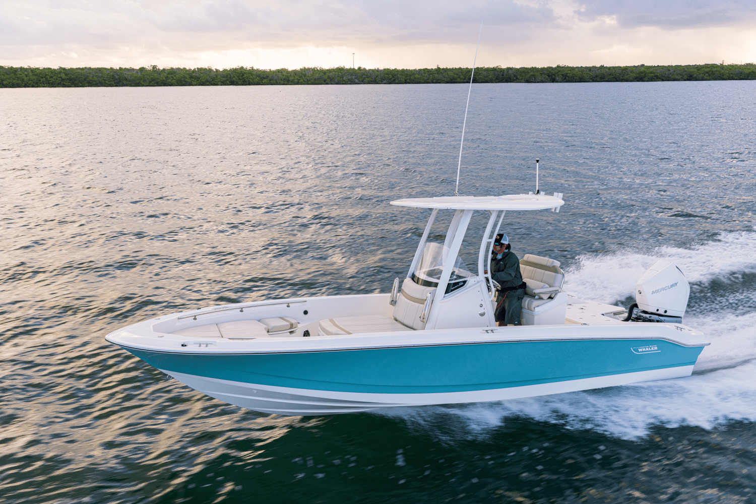 2026 Boston Whaler 250 Dauntless Image Thumbnail #37