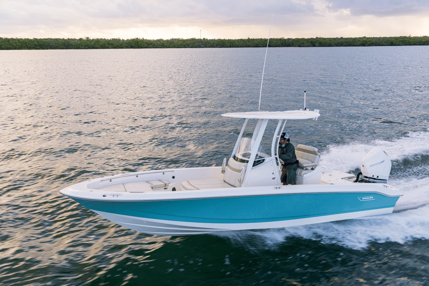 2026 Boston Whaler 250 Dauntless Image Thumbnail #37