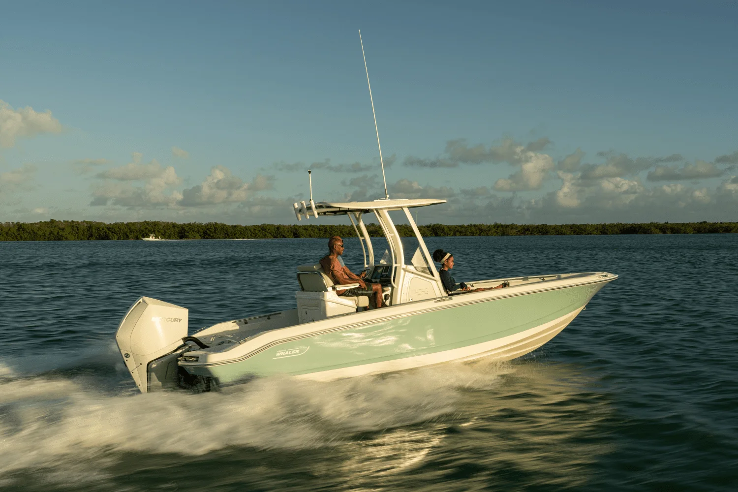 2026 Boston Whaler 250 Dauntless Image Thumbnail #33