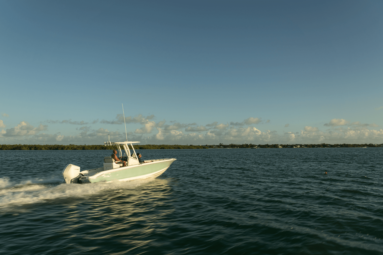 2026 Boston Whaler 250 Dauntless Image Thumbnail #34