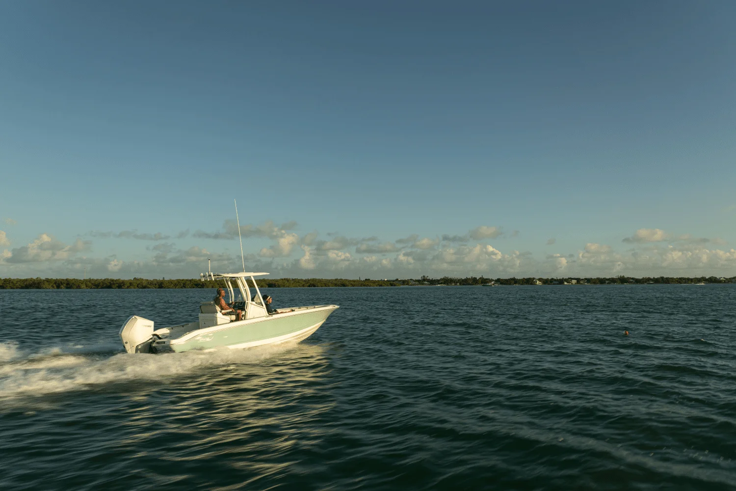 2024 Boston Whaler 250 Dauntless Image Thumbnail #34