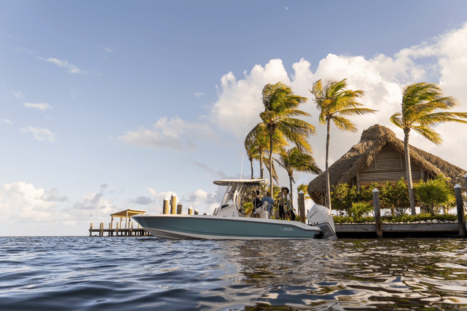 2026 Boston Whaler 250 Dauntless Image Thumbnail #24