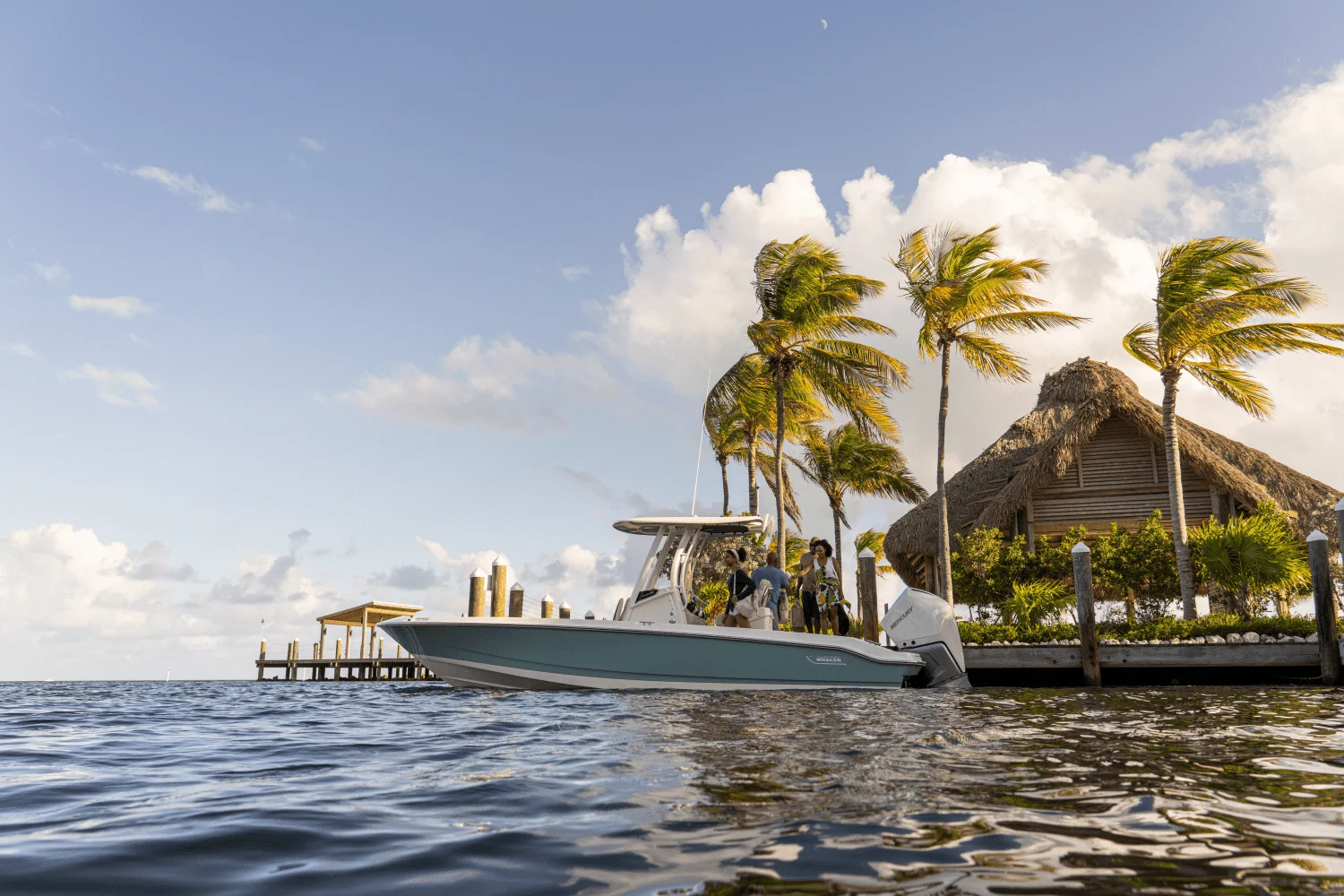 2026 Boston Whaler 250 Dauntless Image Thumbnail #24