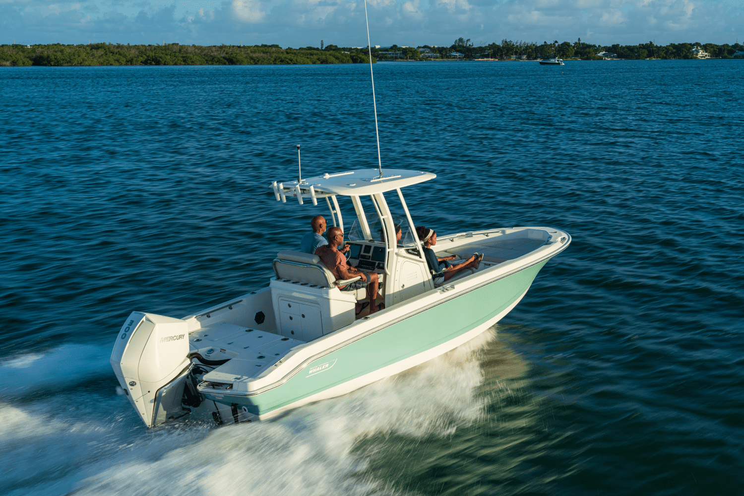 2026 Boston Whaler 250 Dauntless Image Thumbnail #25