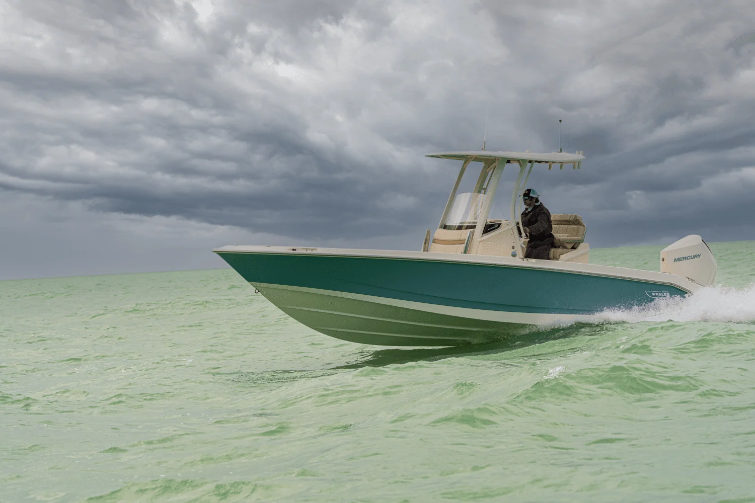 2024 Boston Whaler 250 Dauntless Image Thumbnail #22