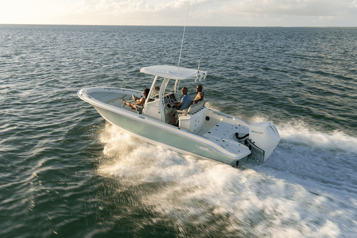 2026 Boston Whaler 250 Dauntless Image Thumbnail #29