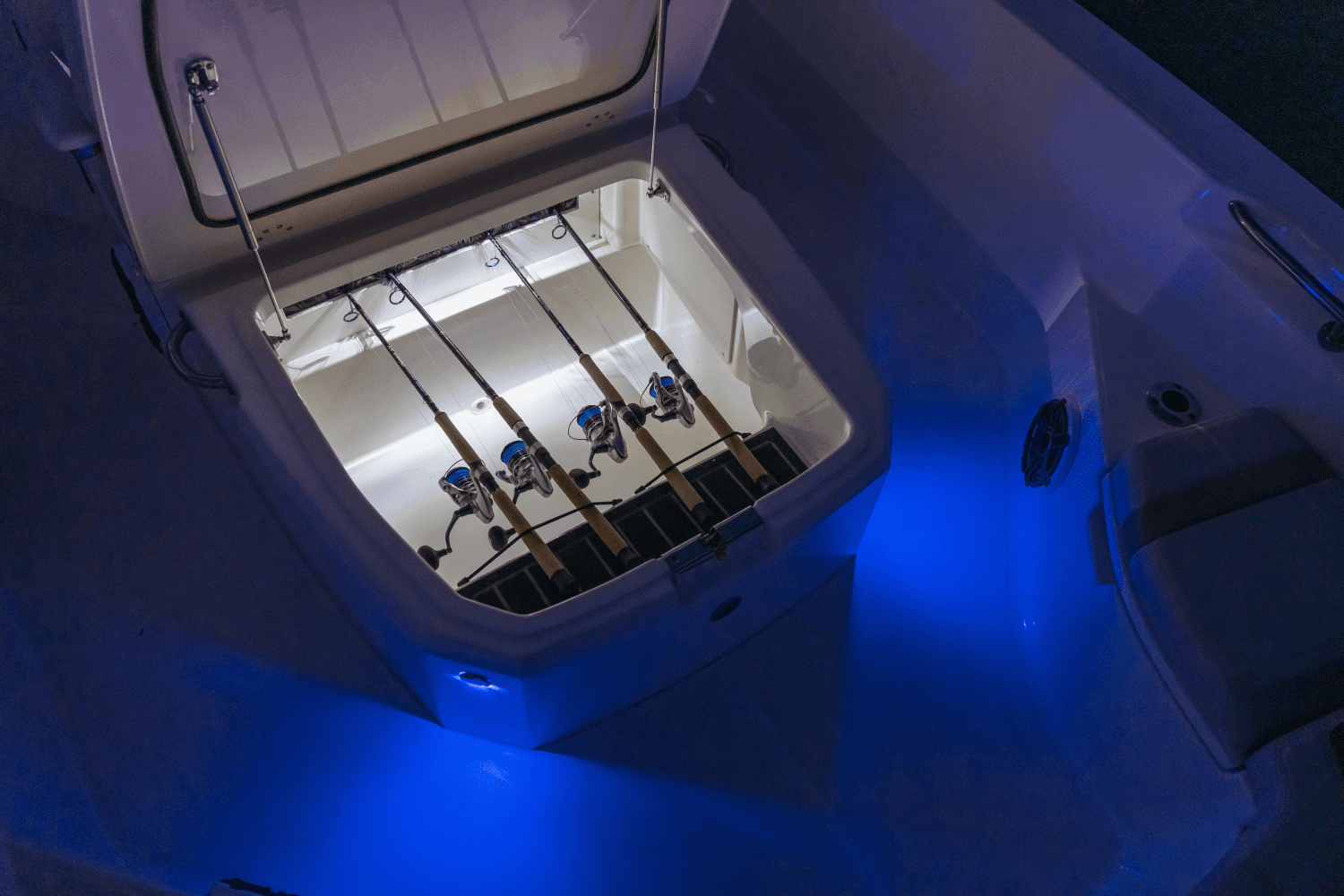 2026 Boston Whaler 250 Dauntless Image Thumbnail #64