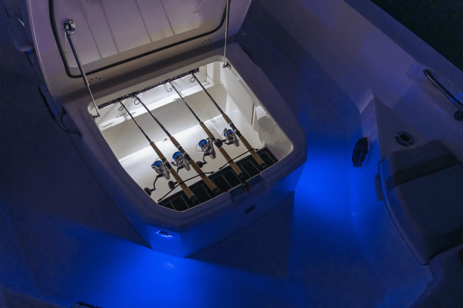 2024 Boston Whaler 250 Dauntless Image Thumbnail #64